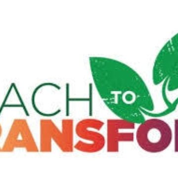 Teach to Transform